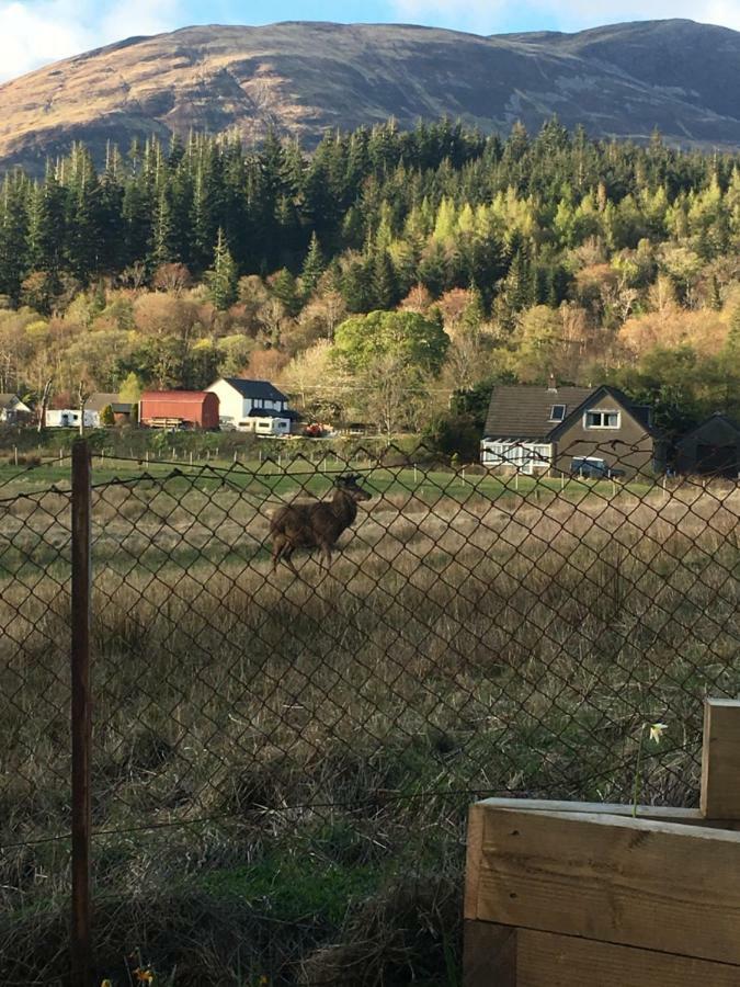 Cosy Cottage Glencoe Dış mekan fotoğraf